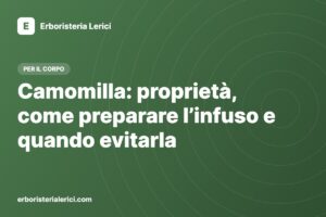 Camomilla: proprietà, come preparare l’infuso e quando evitarla
